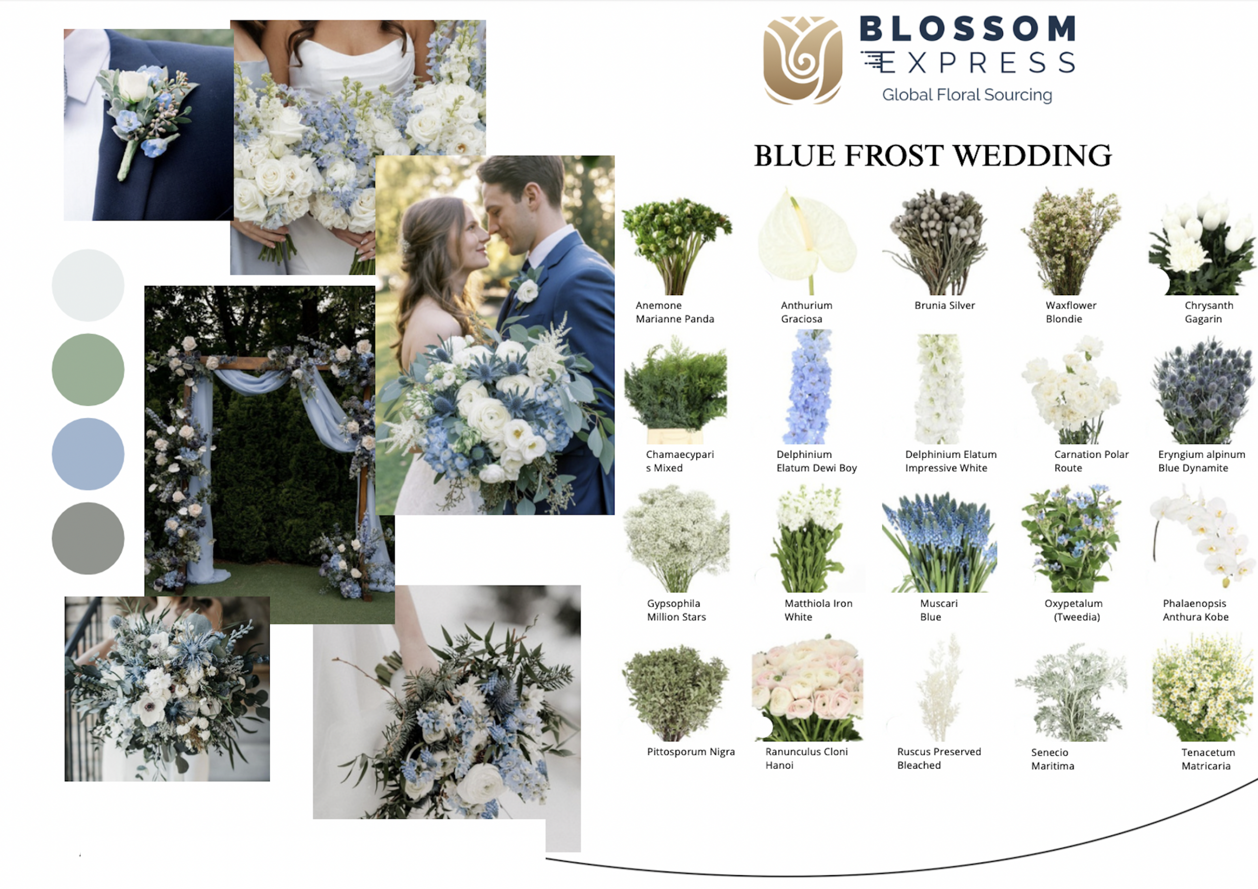 Abastecimiento de flores para eventos — Blossom Express